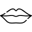 Icon for Lip Blush and Liner SPMU 