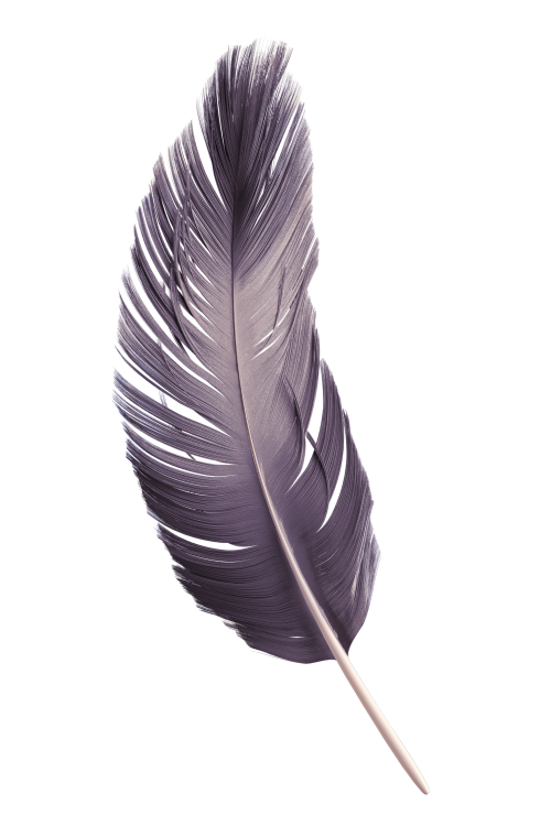 Background image 2