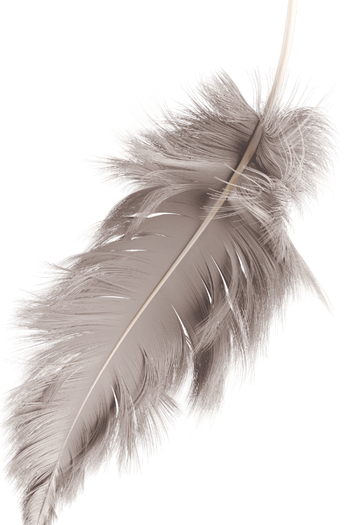Background Image 3