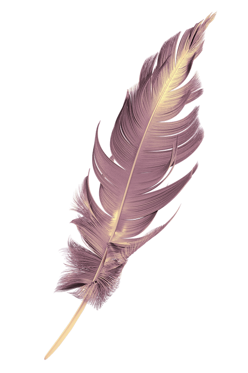 Background Image 4